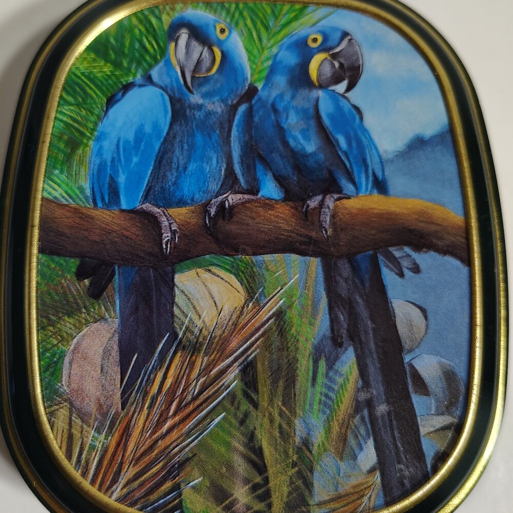 VTG Bentley's Of London Candy Tin Blue Hyacinth Macaw Parrot Endangered Species